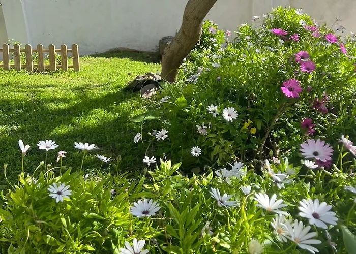 Yu Casa Affittacamere 4*