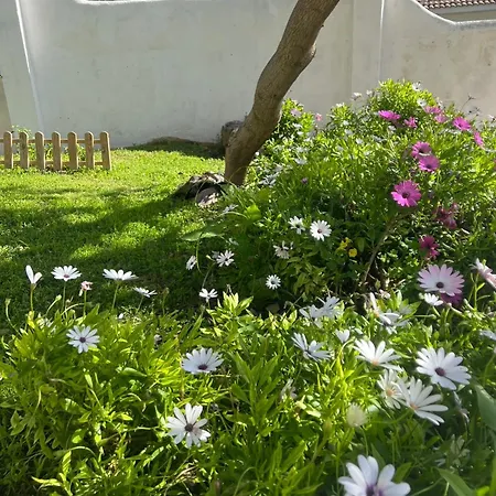 Yu Casa Πανσιόν 4*